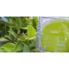 Kép 2/2 - 100% Pure Hidrogél arcmaszk zöld teával (60 g)