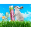 Kép 3/3 - Crazy rumors Leaping Bunny - szilvás sárgabarackos ajakápoló balzsam (4,4 ml)