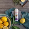 Kép 2/2 - Taoasis Citruskert légtérillatosító spray (50 ml)