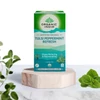 Kép 5/5 - Tulsi filteres tea - Tulsi frissítő borsmenta (25 db)