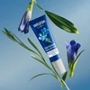 Kép 5/5 - Weleda 50+ Öregedésgátló szem- és ajakkörnyék-ápoló kék enciánnal és havasi gyopárral (10 ml)