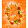 Kép 2/5 - ECOegg Mosótojás 70 mosásra - Narancsvirág (1 db)