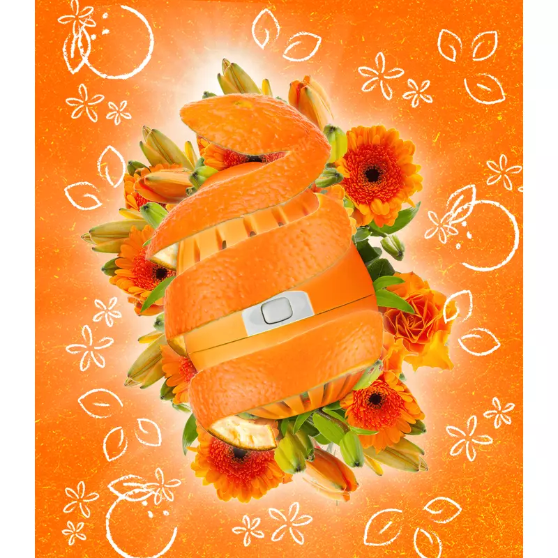 ECOegg Mosótojás 70 mosásra - Narancsvirág (1 db)